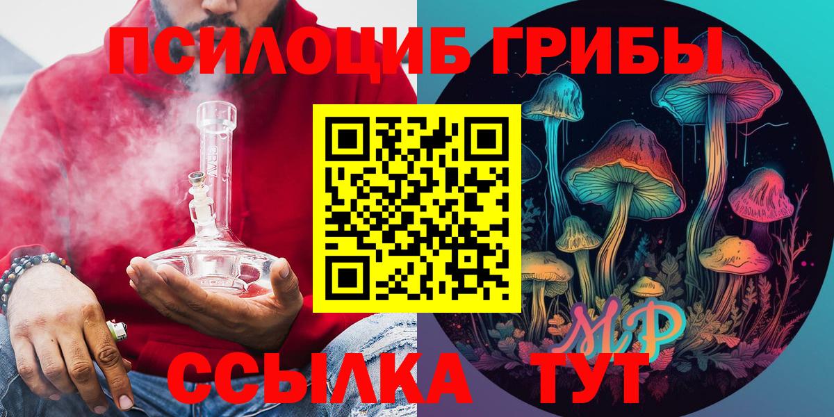 Галлюциногенные грибы Psilocybe  Галлюциногенные грибы Psilocybine cubensis  Каменка  Вход с VPN 